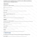 Podrobná verze — strana 1
